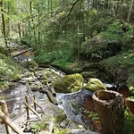 Bewegung In Ruhe * Bachones