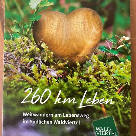 Bewegung In Ruhe Bachones