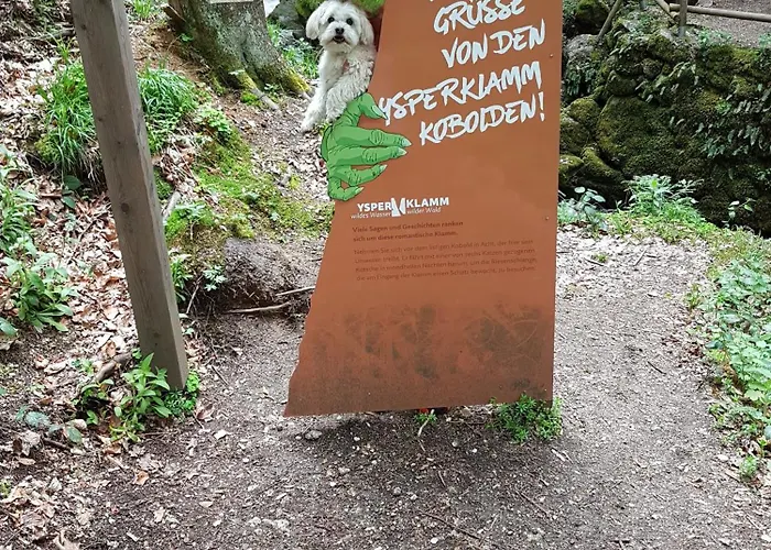 Апартаменты Bewegung In Ruhe