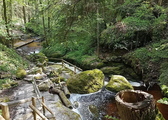 Bewegung In Ruhe * Bachones