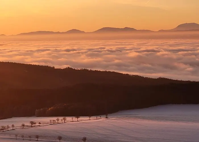 Bewegung In Ruhe Bachones