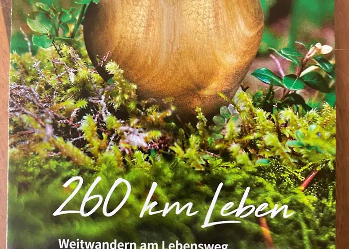 Bewegung In Ruhe Bachones